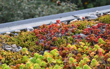 the cost of Knockentiber green roof installation